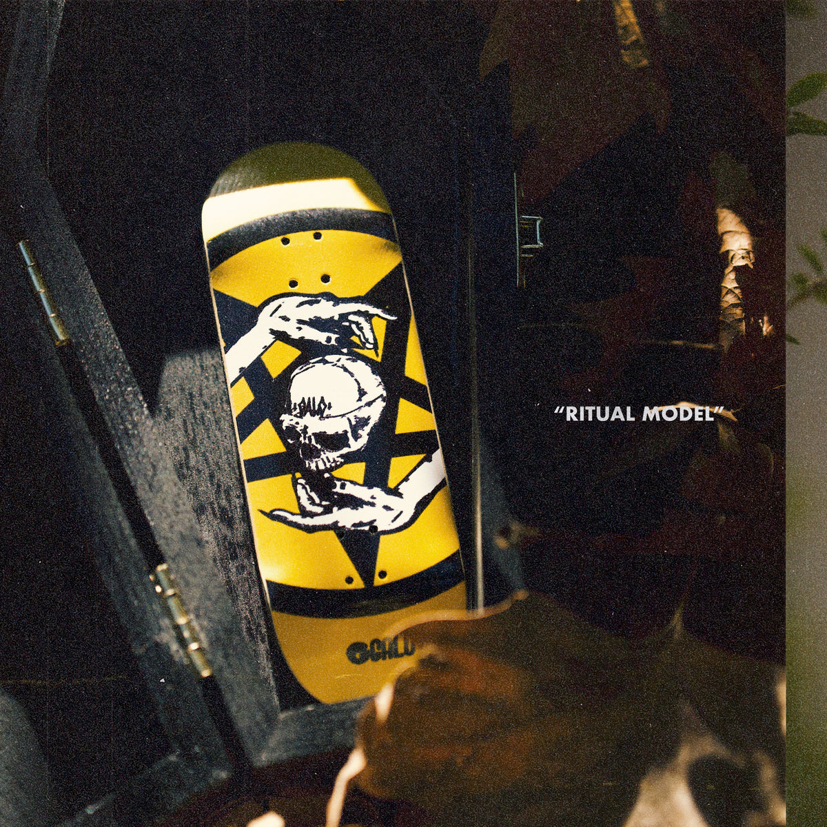 Deck fingerboard Galo Skull Serie Ritual Model en ambiente oscuro